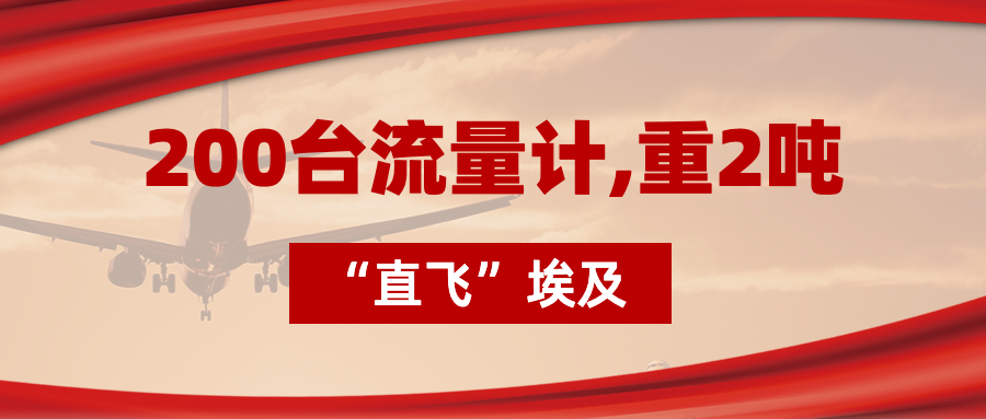 200臺流量計“直飛”埃及，重2噸，運費10萬